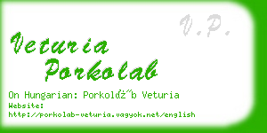 veturia porkolab business card